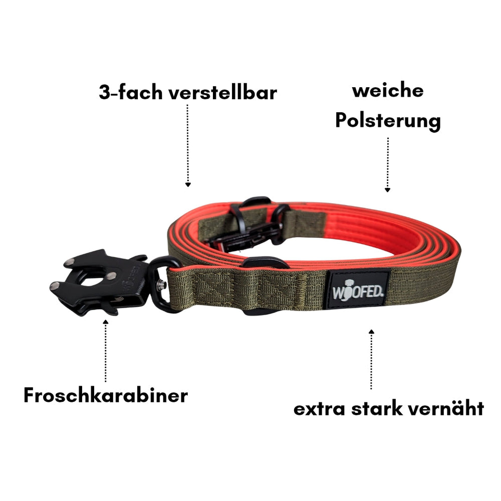 Verstellbare Hundeleine aus Nylon mit weicher Polsterung und stabilem Froschkarabiner in kräftigen Farben.