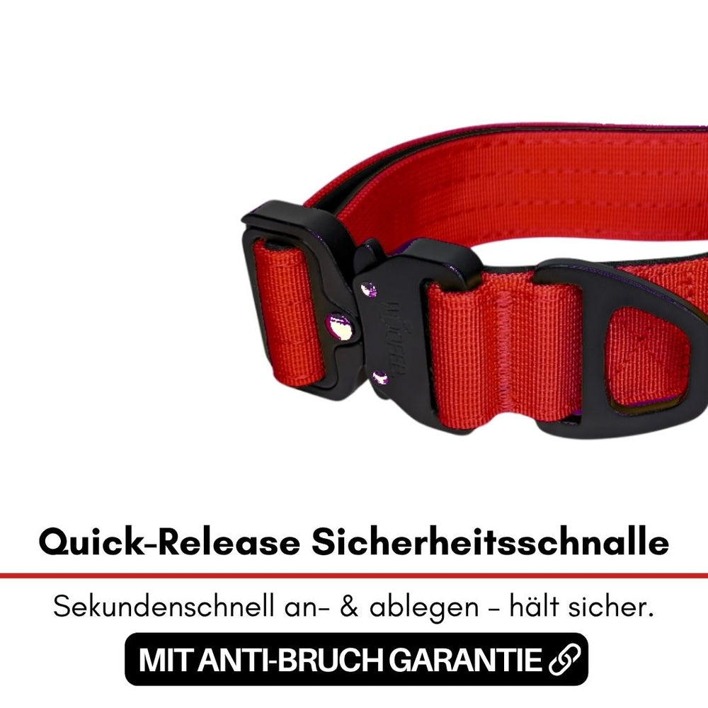 "Ultraleichtes Nylon-Halsband mit roter Sicherheitschnalle und Quick-Release-Funktion für maximale Sicherheit."
