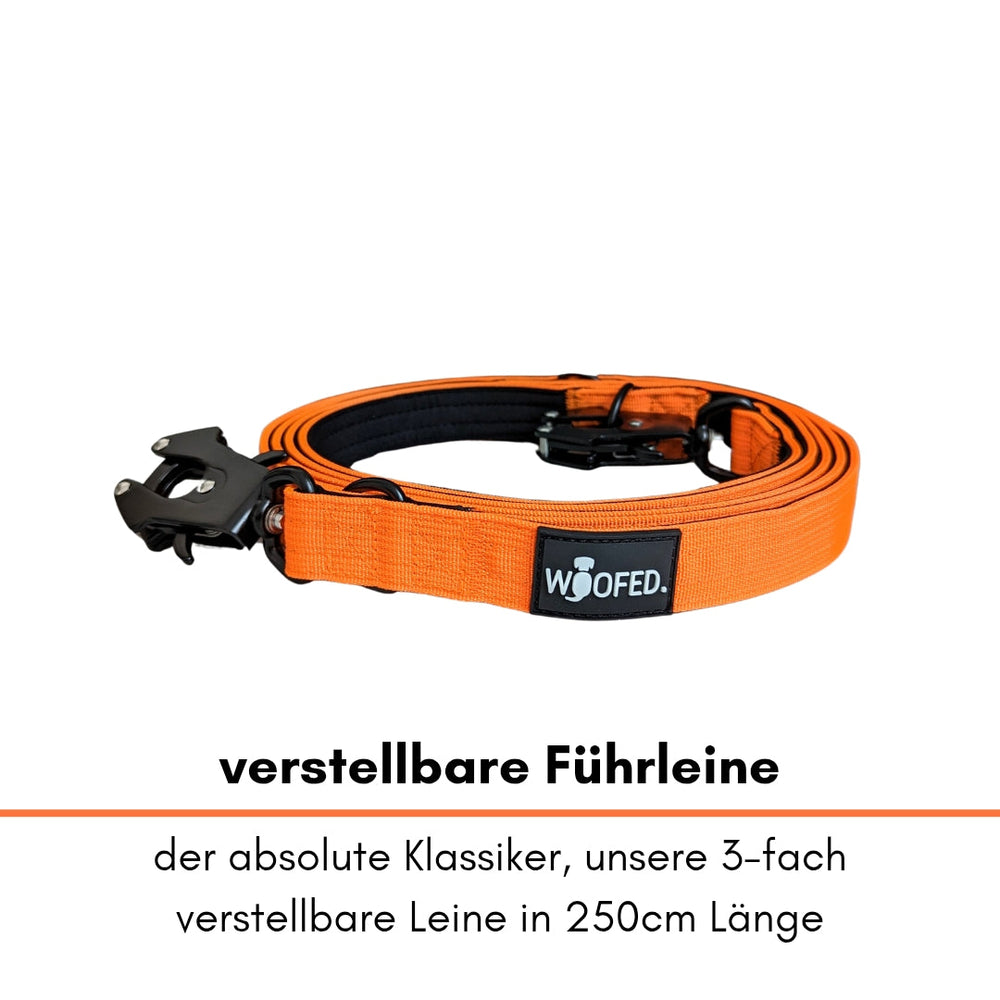 Orangefarbene Hundeleine aus Nylon mit Froschkarabiner, verstellbar auf 250 cm, ideal für Spaziergänge und Training.