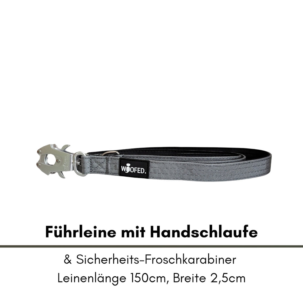 Faltbare Hunde-Führleine aus Nylon mit Handschlaufe und Sicherheits-Froschkarabiner, 150 cm lang und 2,5 cm breit.