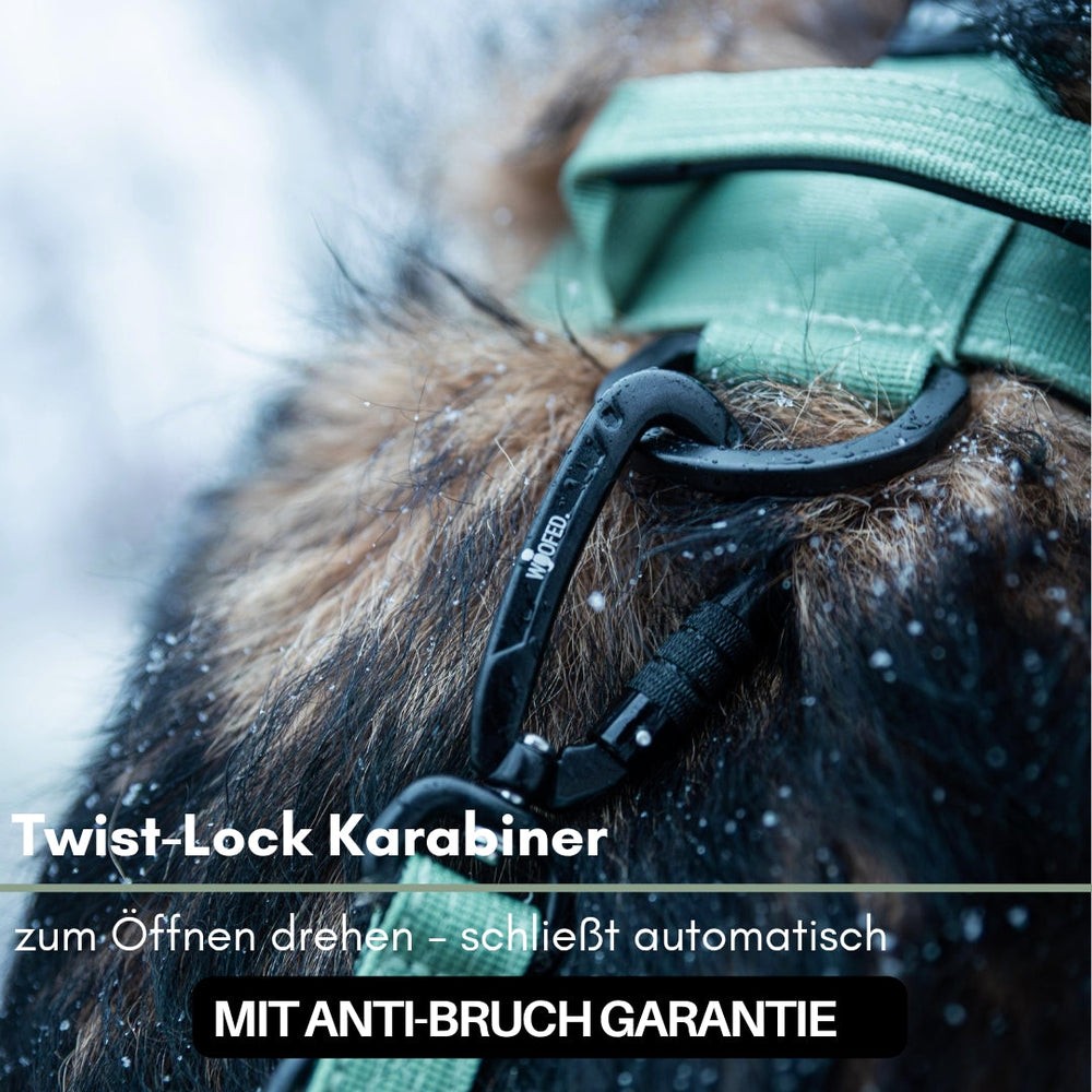 Schwarzer Twist-Lock Karabiner am grünen Hundegeschirr für maximale Sicherheit beim Ausführen von Hunden.