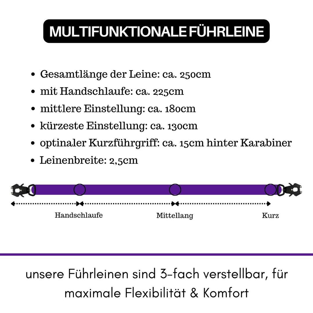 Multifunktionale Führleine aus Nylon mit Froschkarabiner, einstellbar auf verschiedene Längen, ideal für Hunde.