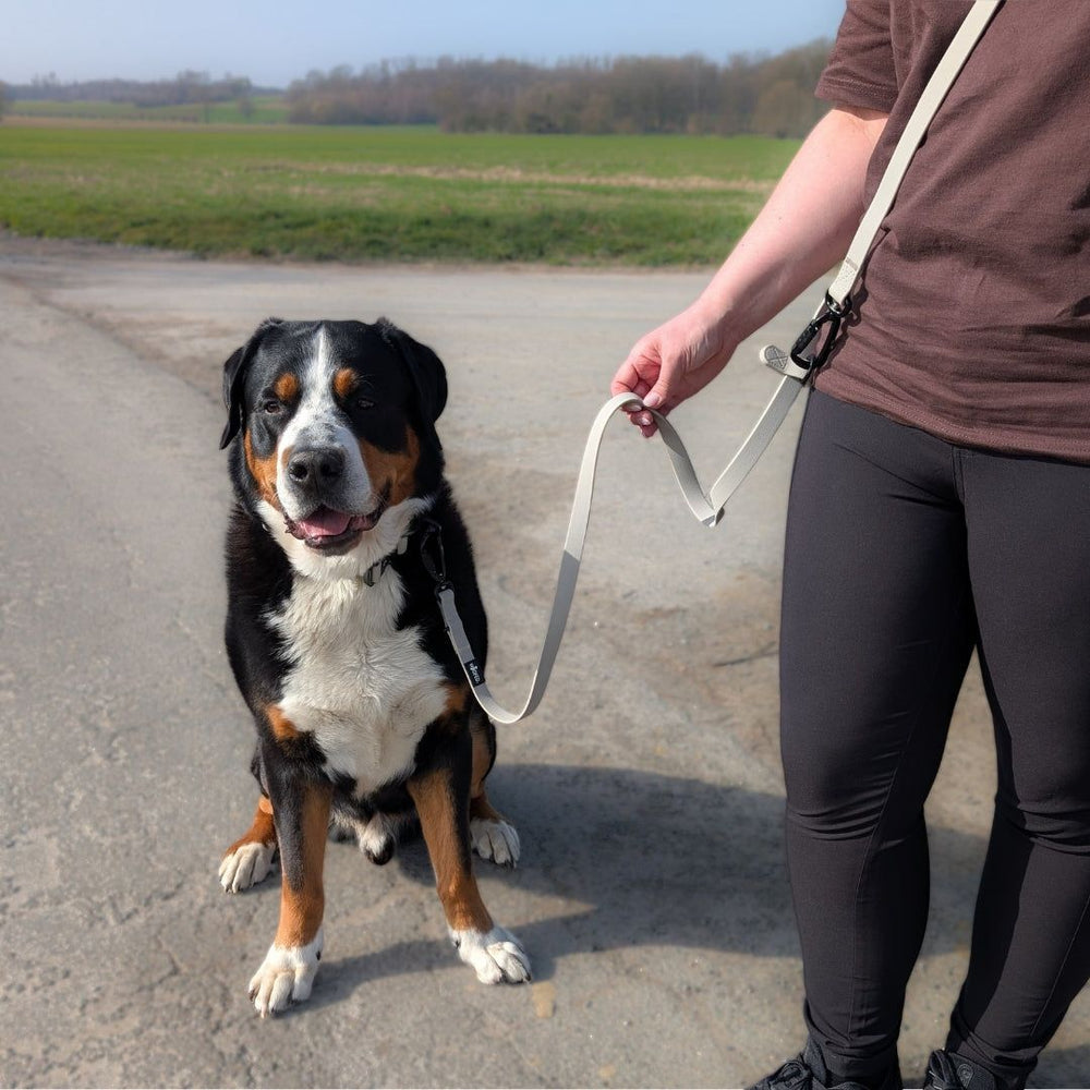 Person mit braunem T-Shirt führt schwarzen Hund mit weißen und braunen Flecken an der WOOFLEX® Pro Umhängeleine.