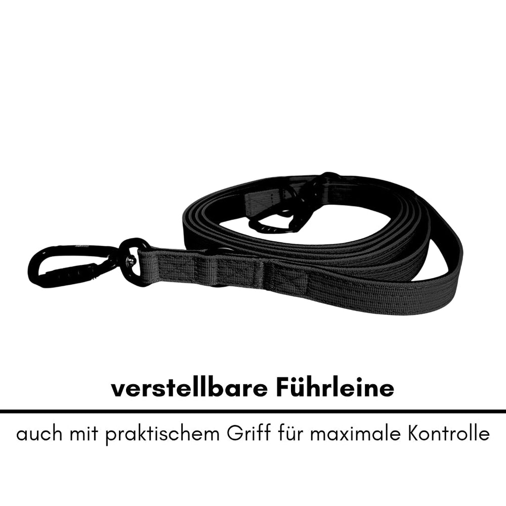 Verstellbare schwarze Führleine aus strapazierfähigem Nylon mit Karabinerhaken und praktischem Griff für optimale Kontrolle.