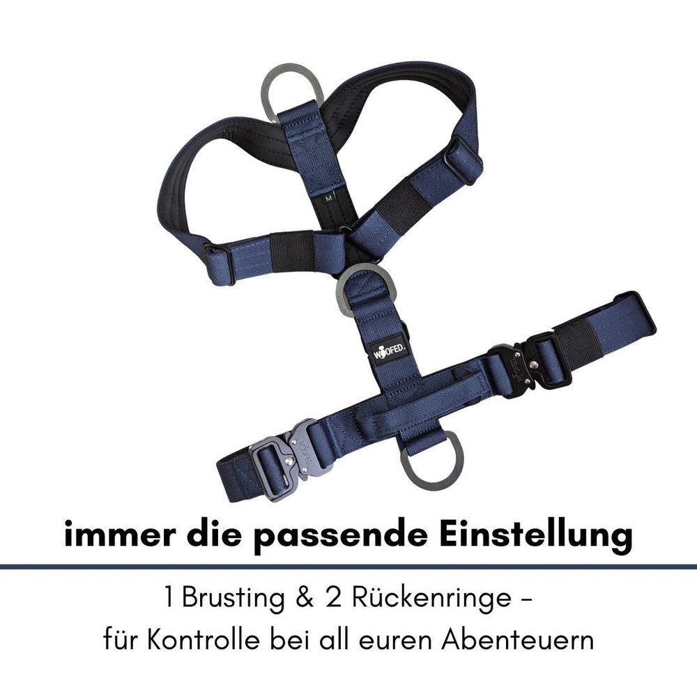 Dunkelblaues Y-Hundegeschirr mit verstellbaren Riemen und zwei D-Ringen für Leinenbefestigung. Ideal für jeden Hund.