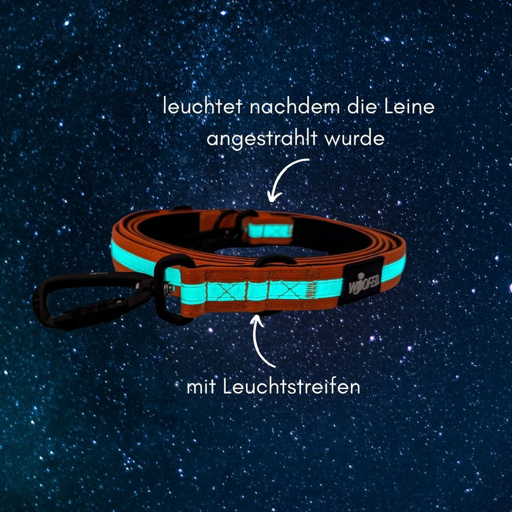 "Stilvolle orangene Hundeleine mit reflektierenden Streifen auf nächtlichem Sternenhimmel-Hintergrund"