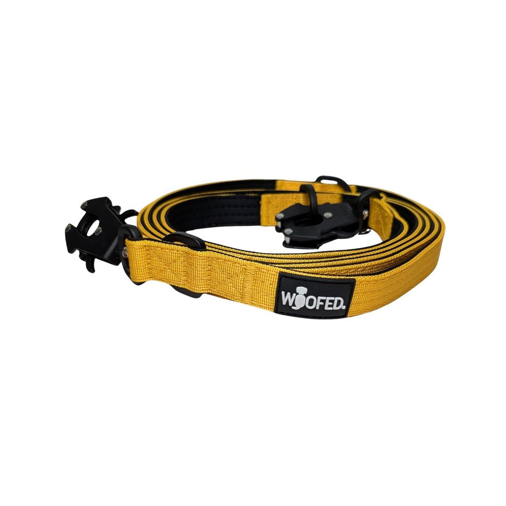 Nylon Führleine mit Froschkarabiner von WOOFED – robust, komfortabel und ideal für aktive Hundehalter.