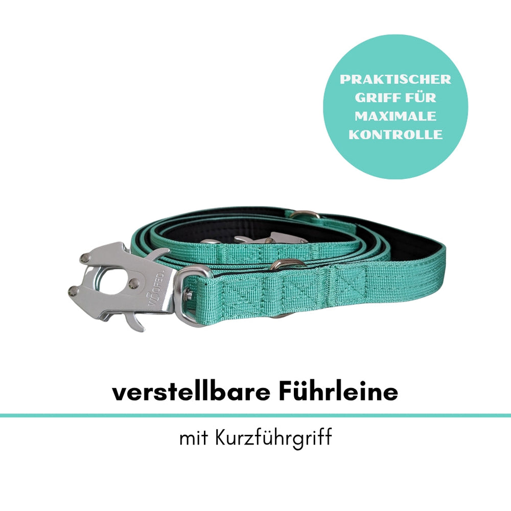 Verstellbare Führleine in mintgrün mit Kurzgriff und stabilem Froschkarabiner - für maximale Kontrolle beim Spazieren.