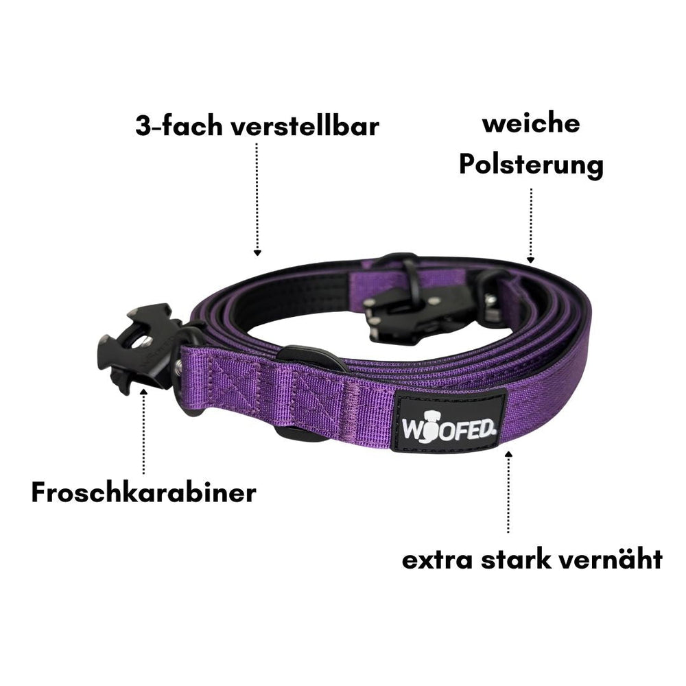 Hundehalsband in lila mit Froschkarabiner, weicher Polsterung und dreifach verstellbar, für optimalen Tragekomfort.
