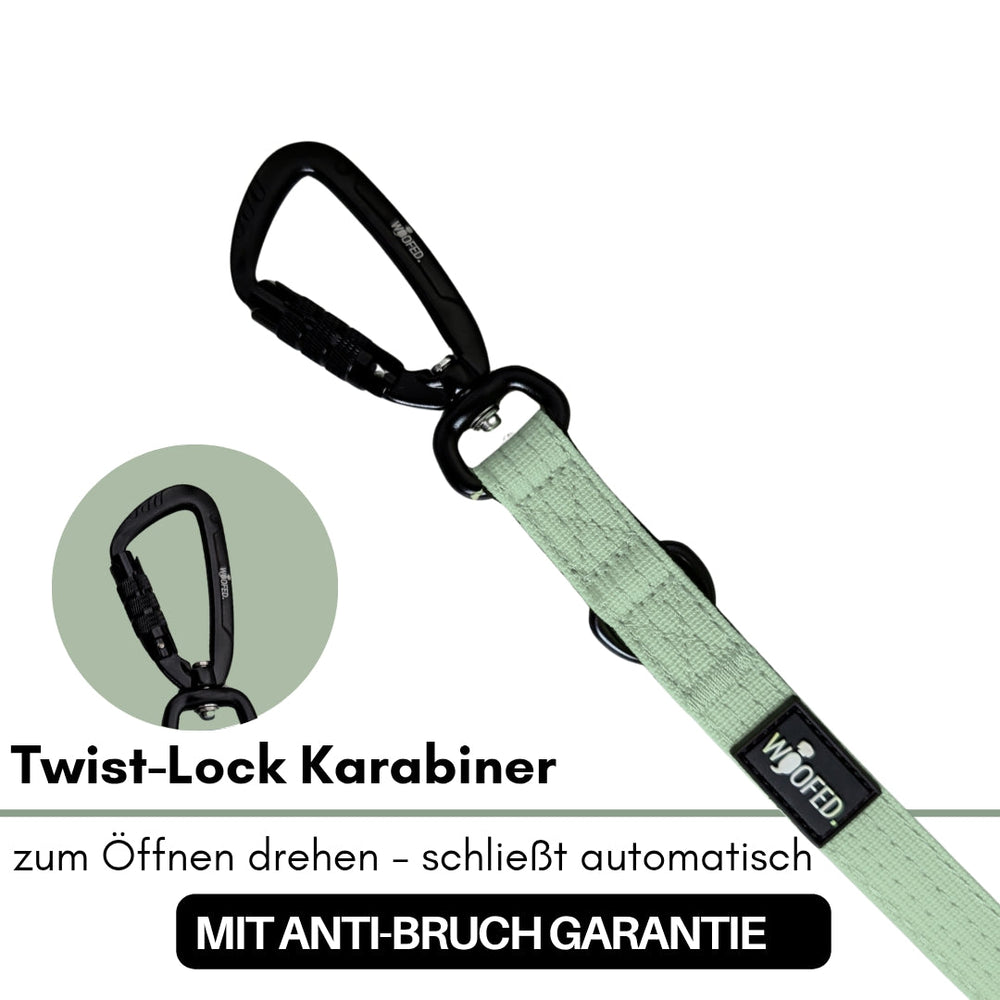 Schwarzer Twist-Lock Karabiner an hellem, grünem Bandschlüssel für sichere Befestigung von Leinen.