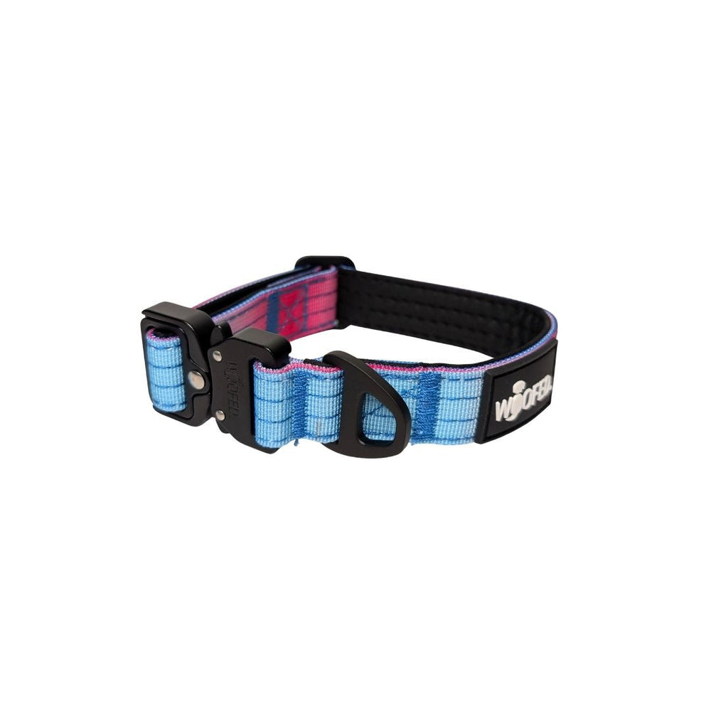 Ultraleichtes Nylon-Halsband für Hunde in Blau und Pink mit gepolsterter Innenseite und praktischem Griff.