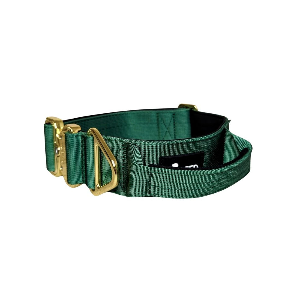 Taktisches Nylon Halsband mit Griff in grün, robust und gepolstert, ideal für aktive Hunde und sichere Kontrolle.