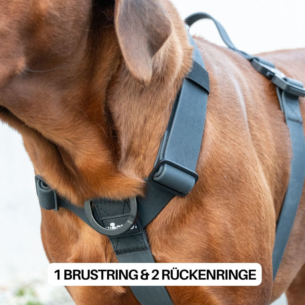 "Schwarzes Y-Hundegeschirr WOOFLEX® mit Griff, Brustring und zwei Rückenringen für optimale Leinenbefestigung."