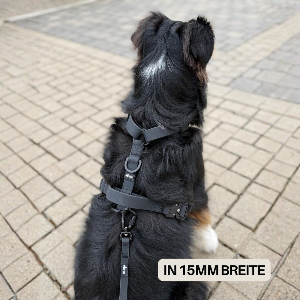 Hund mit schwarzem Geschirr und WOOFLEX® Sicherheitskarabiner auf Pflasterboden, Etikett zeigt 15 mm Breite.