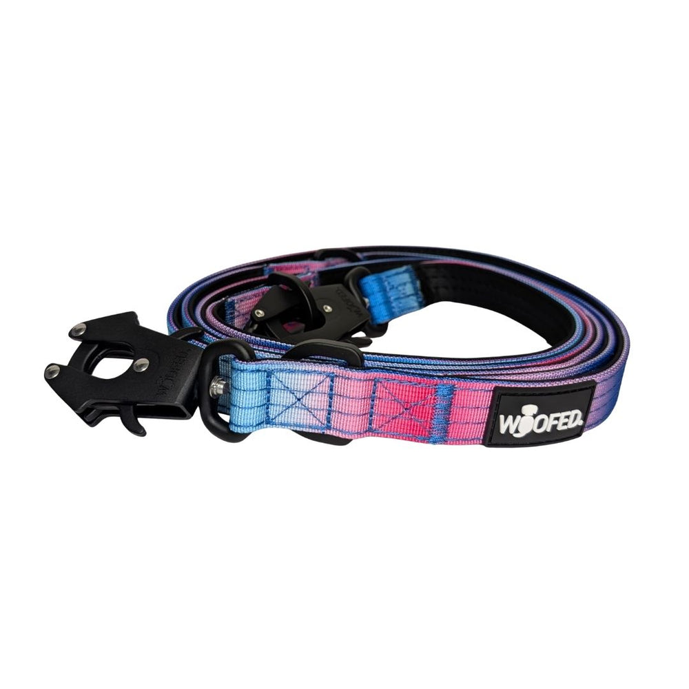 Bunte Hundeleine aus Nylon mit Froschkarabiner, verstellbarem Element und modernem Design in Blau- und Rosatönen.