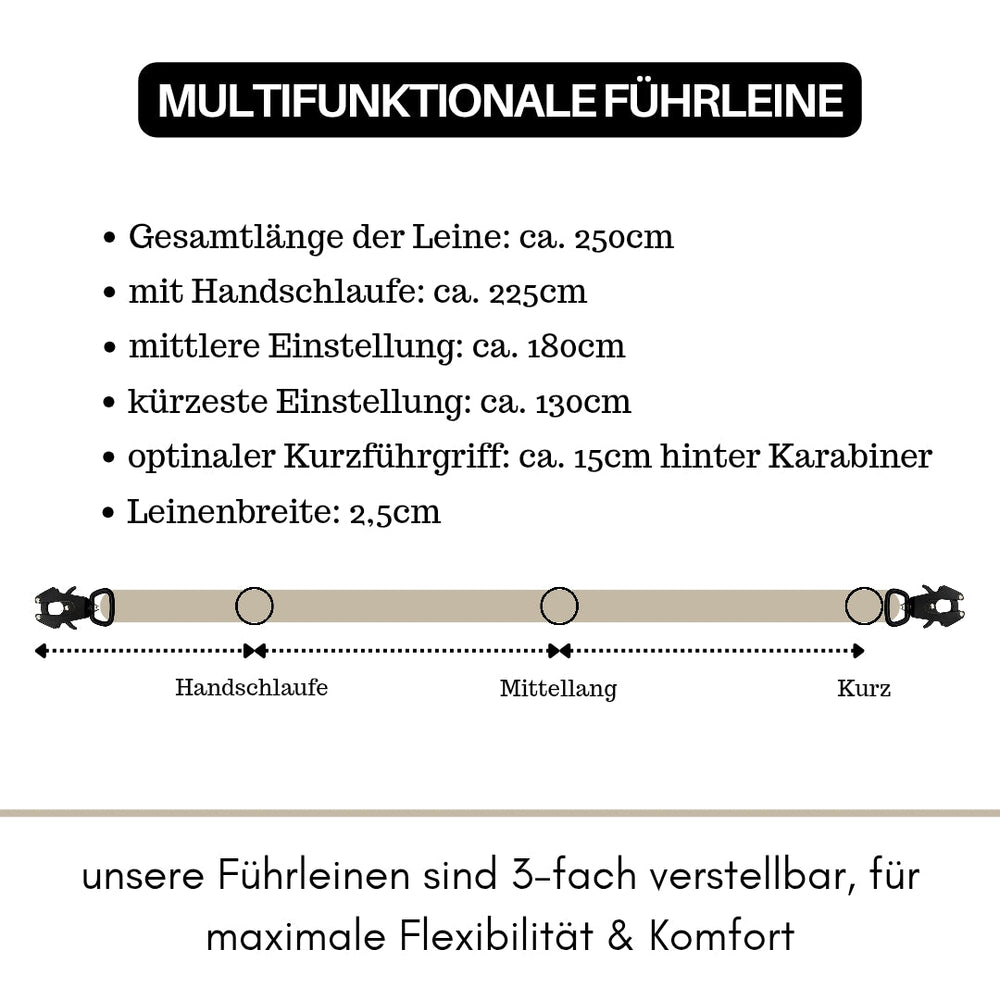 Multifunktionale Nylonführleine mit Froschkarabiner, dreifach verstellbar und ca. 250 cm lang, ideal für Spaziergänge.