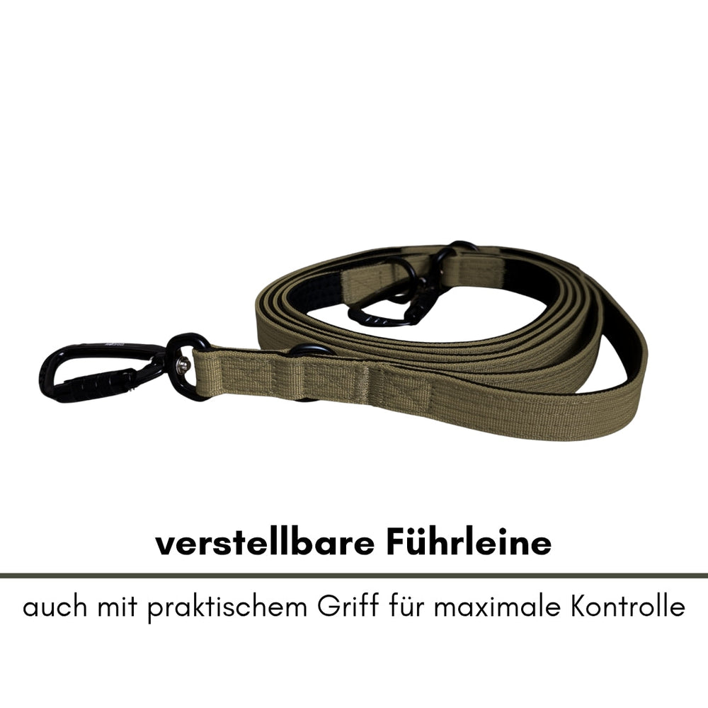Verstellbare olivgrüne Nylon-Führleine mit Karabinerhaken für sichere Hundebegleiter.