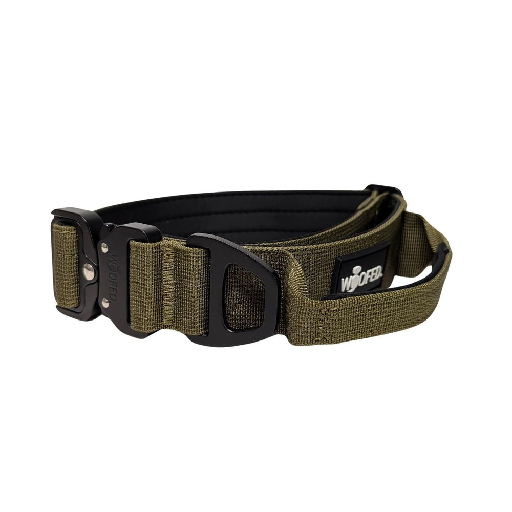 Taktisches Nylon Halsband mit Griff in olivgrün, robust, leicht und ideal für Outdoor-Aktivitäten und Hundetraining.
