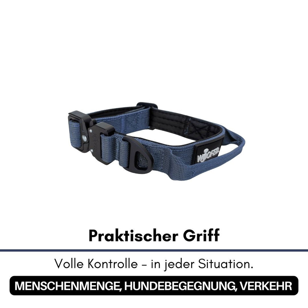 Ultraleichtes blaues Nylon-Halsband mit praktischem Griff für optimale Kontrolle in jeder Situation.