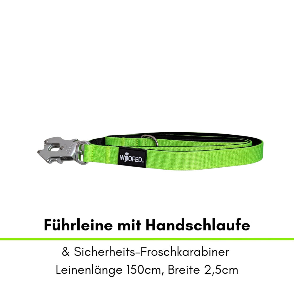 Grüne 150 cm lange Führleine mit Handschlaufe und Froschkarabiner von WOOFED, ideal für Hunde.