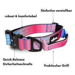 Nylon Halsband-Leine-Set in Pink und Blau, robust, komfortabel, stufenlos verstellbar, mit Sicherheitschnalle und praktischem