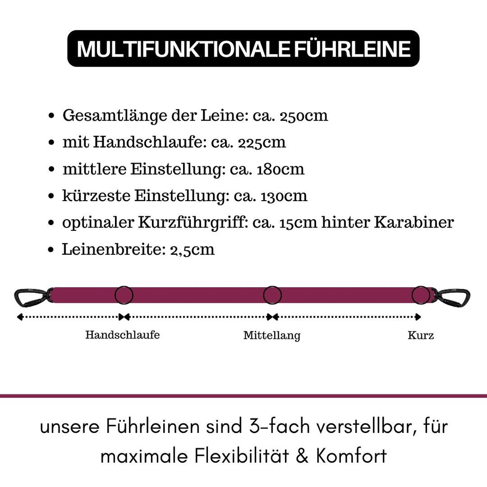 Multifunktionale Führleine aus Nylon mit Karabiner, verstellbar von 180 cm bis 250 cm. Ideal für sicheres Gassi-Gehen.