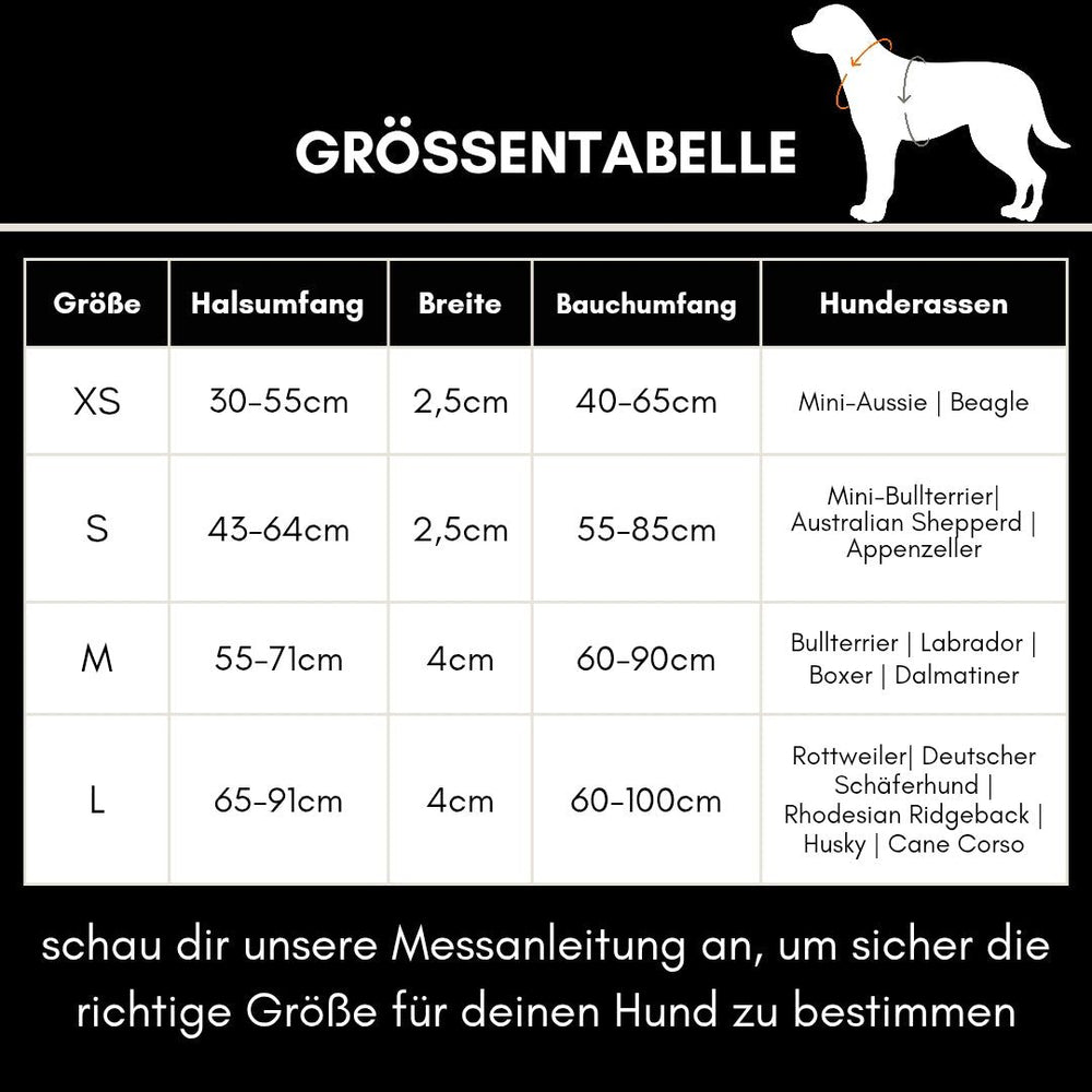 Größentabelle für Y-Hundegeschirr WOOFLEX®: XS bis L, Hals- und Bauchumfang, passende Hunderassen.
