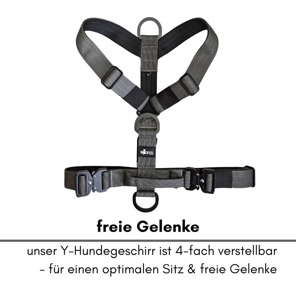 Y-Hundegeschirr in Grau, 4-fach verstellbar mit D-Ringen für sicheren Sitz und Leinenbefestigung.
