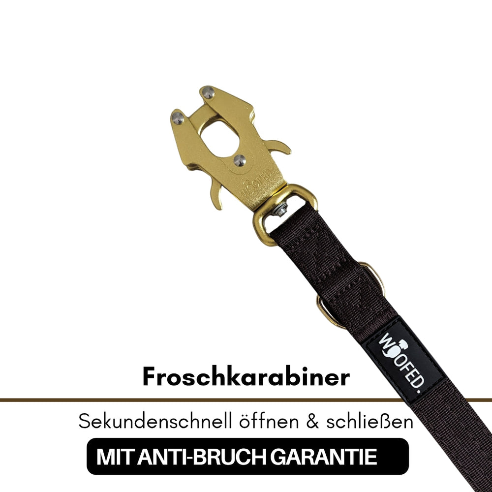 Nylon Führleine mit Froschkarabiner in Gold, robustes schwarzes Band, ideal für aktive Hundehalter, sicher und langlebig.