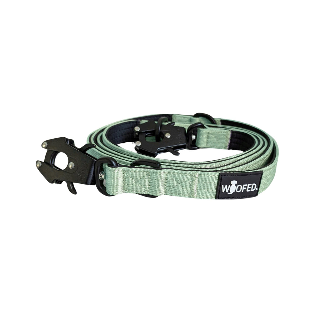 Hundeleine aus strapazierfähigem Nylon in sanftem Grünton mit robustem Froschkarabiner und schwarzem Markenlabel.
