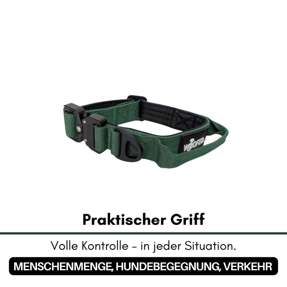Dunkelgrünes Nylon-Halsband mit praktischen Griff für bessere Kontrolle und Sicherheit bei Hundebegegnungen.