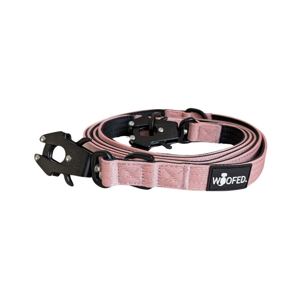 Nylon Führleine in Rosa mit Froschkarabiner und Neoprenpolsterung für sicheren Halt und Komfort bei aktiven Hunden.