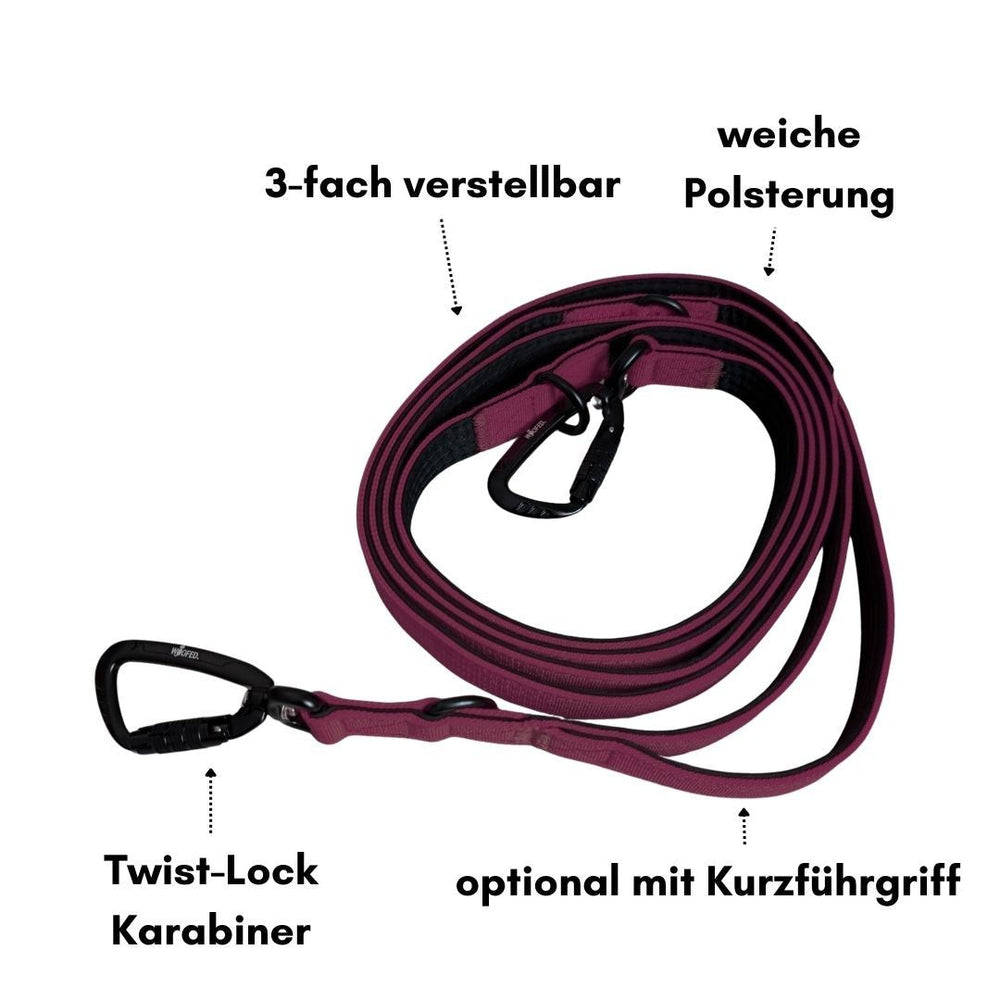 Lila Hundeleine aus Nylon mit drei verstellbaren Stufen und gepolstertem Griff, ausgestattet mit Sicherheitskarabinern.