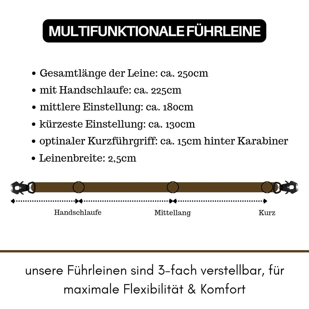 Multifunktionale Führleine aus Nylon mit Froschkarabiner, einstellbar auf 250 cm, ideal für Hunde.