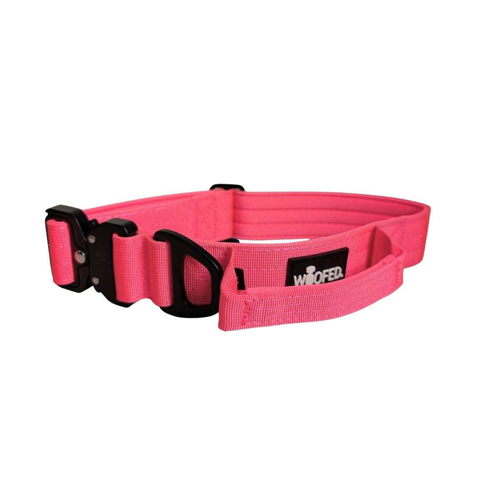 "Ultraleichtes pinkes Nylon-Halsband mit Griff, stabiler Kunststoffverschluss und verstellbarer Schnalle für Hunde."
