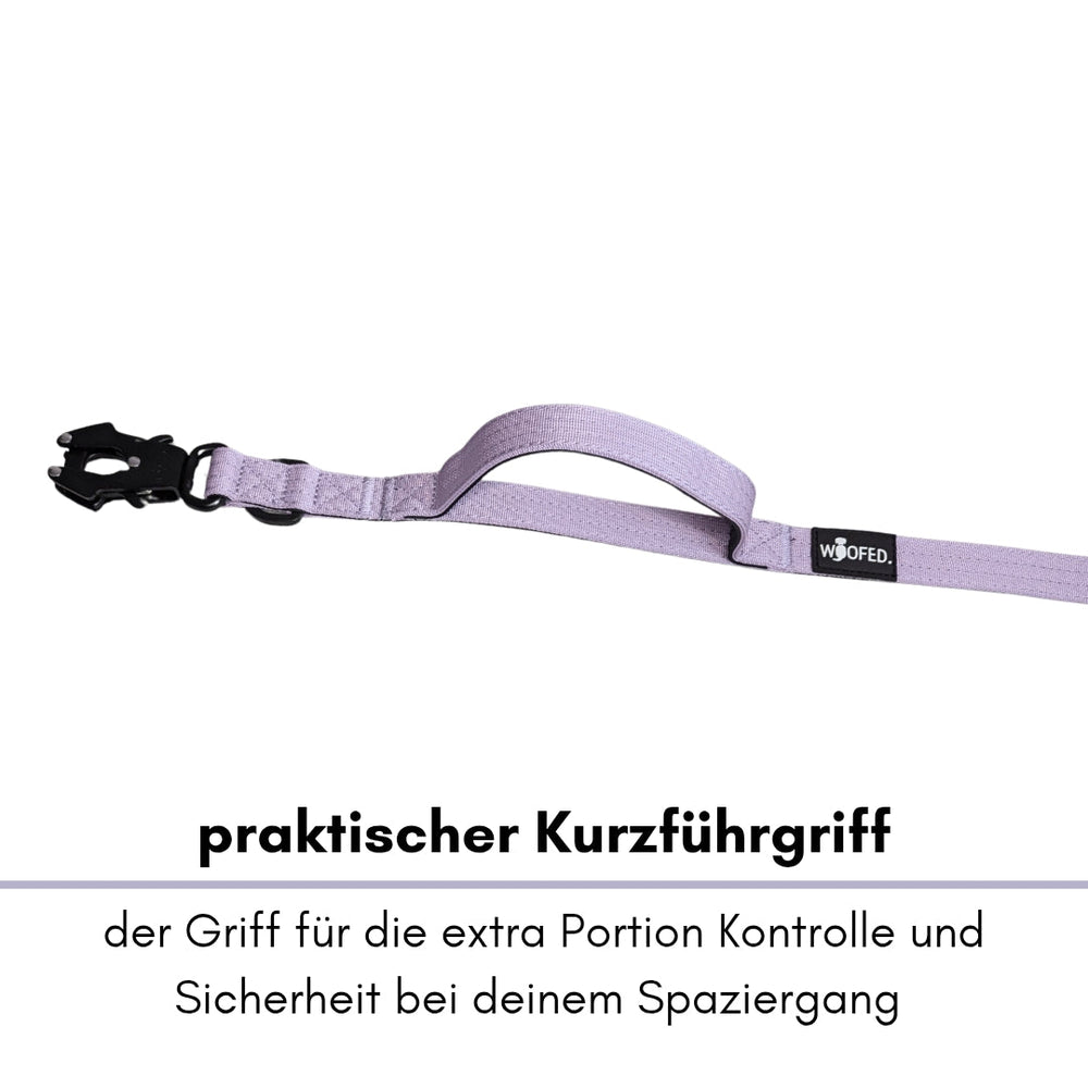 Praktischer Kurzführgriff für Hundeleinen mit Froschkarabiner und Clipverschluss in heller Farbe für optimale Kontrolle.