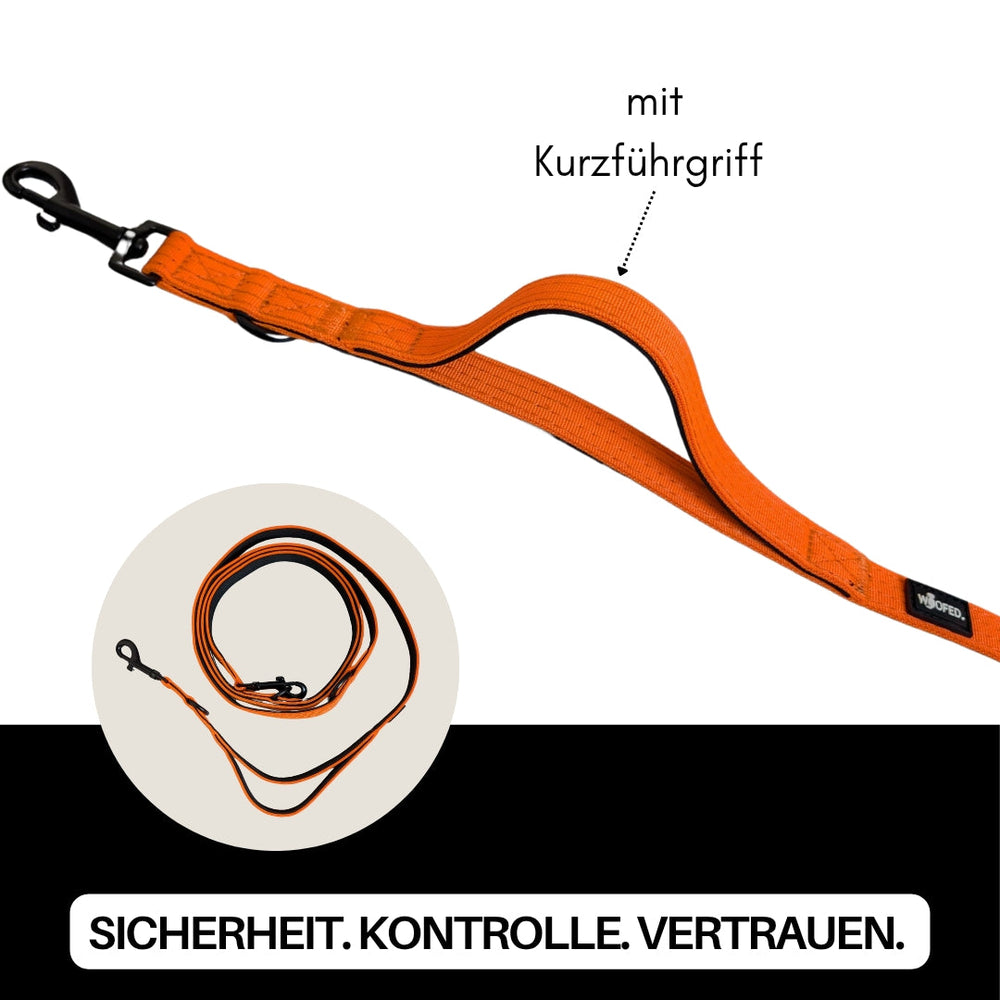 Orangefarbene Nylon Hundeleine mit Kurzführergriff in flachem Design, erhältlich in orange und schwarz. Sicherheit für Ihren Hund.
