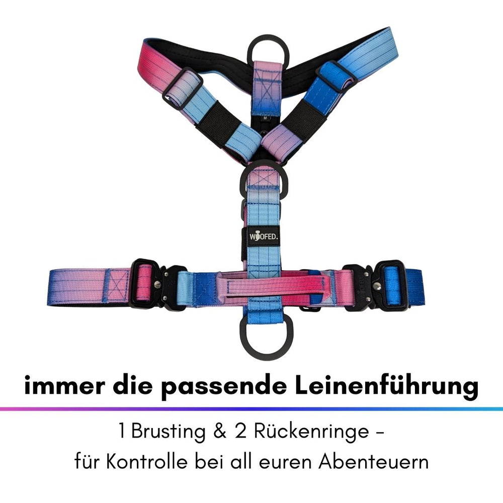"Buntes Y-Hundegeschirr mit Griff in Pink-Blau, ideal für sichere Leinenführung und vielseitige Nutzung."