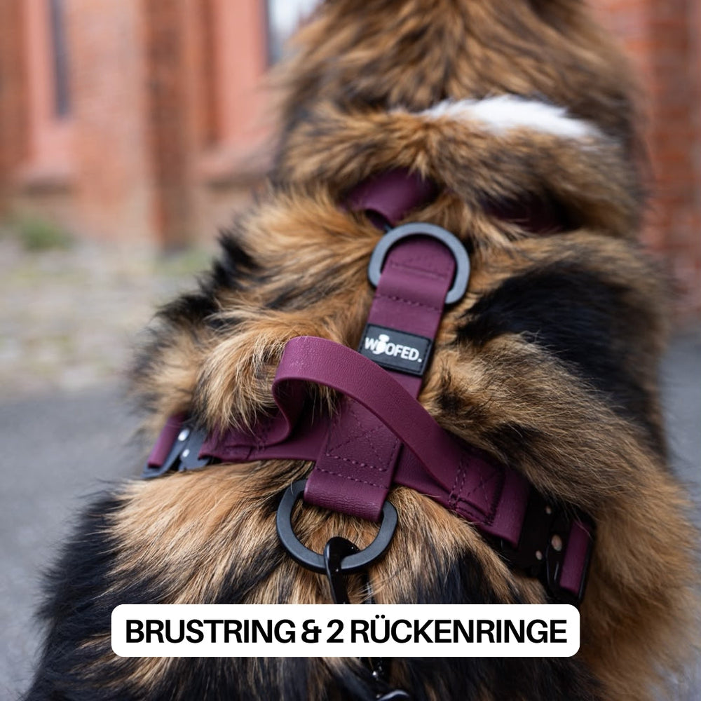 Burgunderrotes Y-Hundegeschirr WOOFLEX® - 4fach verstellbar, mit Griff, Sicherheitsschnallen und wasserfestem Material.