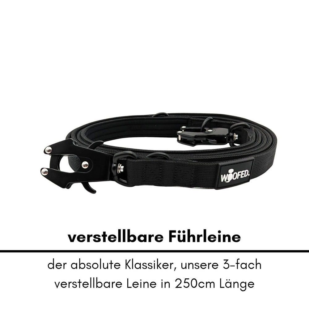 Verstellbare Nylon Führleine in Schwarz, 250 cm lang, dreifach verstellbar mit robustem Karabinerhaken.
