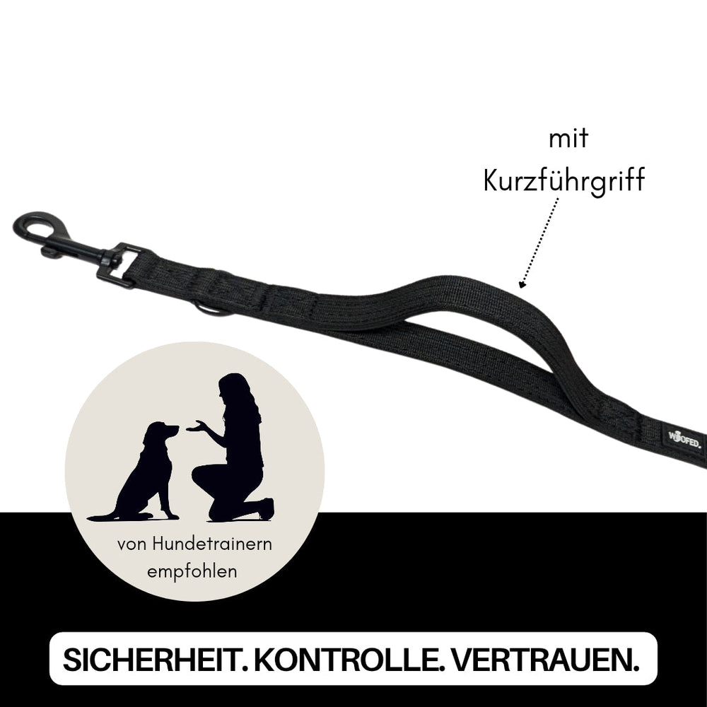 "Praktische Nylon Classic Führleine mit kurzem Griff, empfohlen von Hundetrainern für sicheres Training."