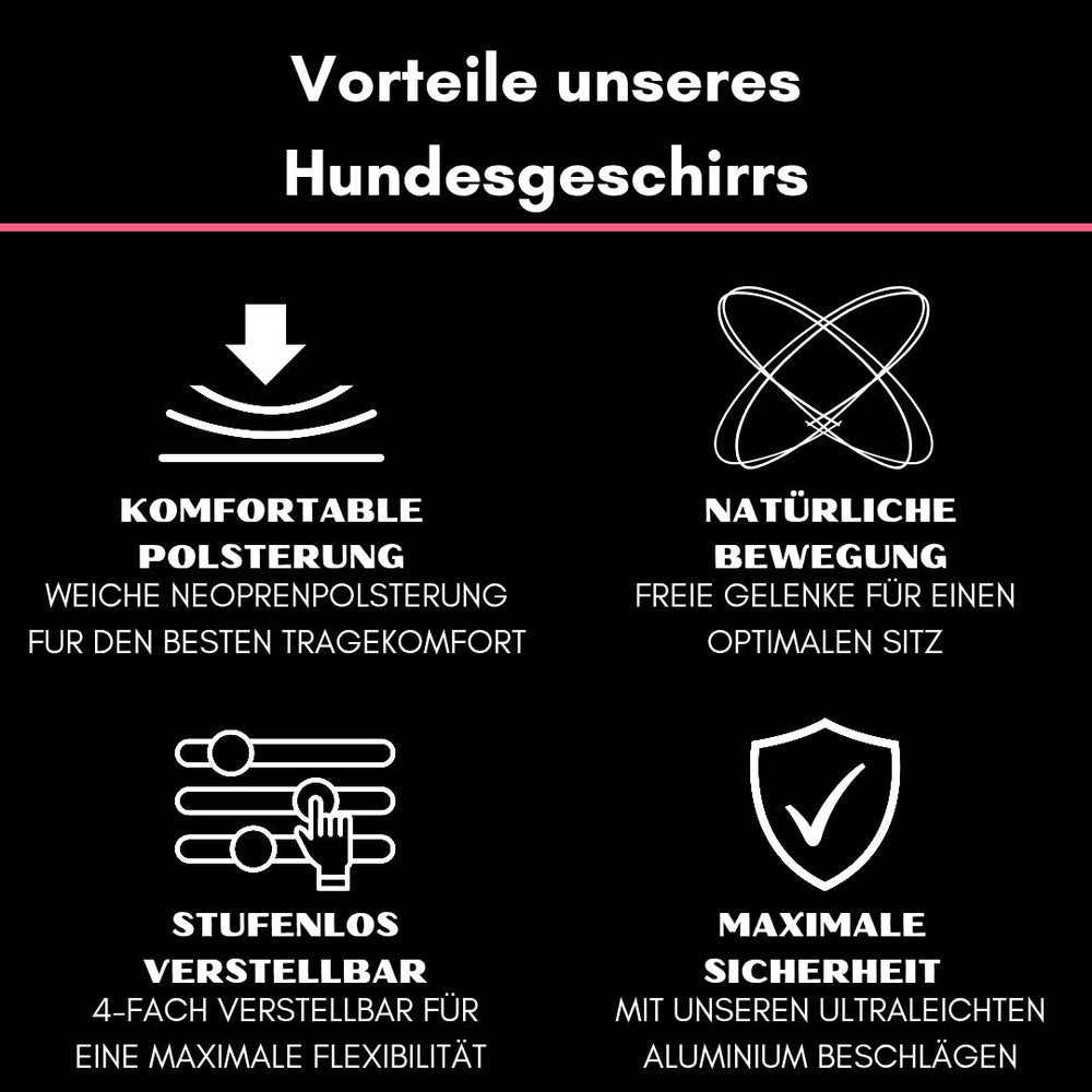 Y-Hundegeschirr mit Griff: Bequeme Polsterung für optimalen Tragekomfort und Sicherheit beim Gassigehen.