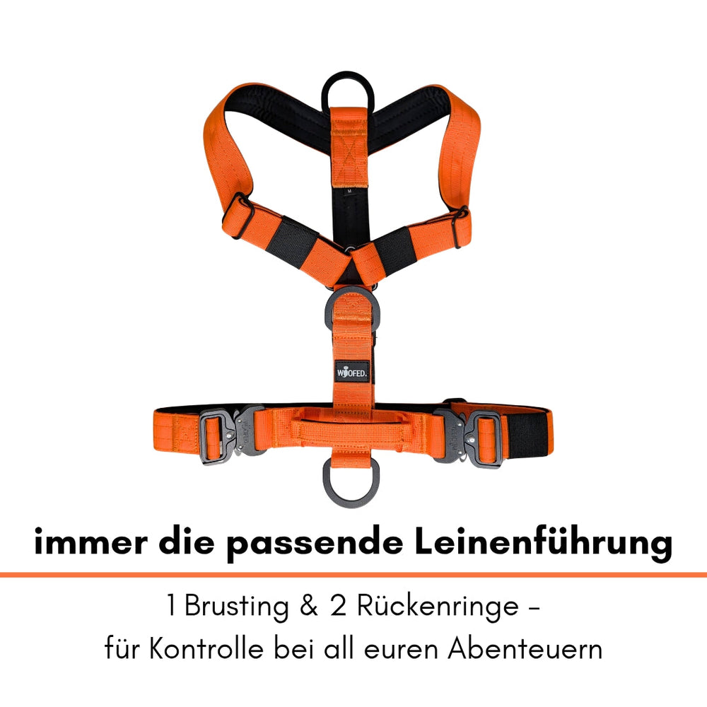 "Orangefarbiges Y-Hundegeschirr mit Brustgurt und D-Ringen für sichere Leinenführung und Kontrolle bei Aktivitäten."