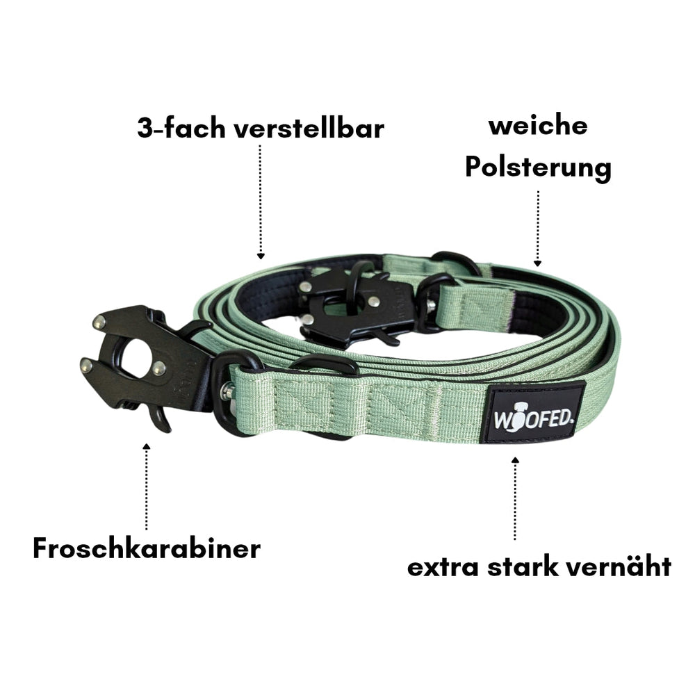 "Grünes hundehalsband mit verstellbarem Froschkarabiner, weicher Polsterung und starker Vernähnung für optimalen Komfort."