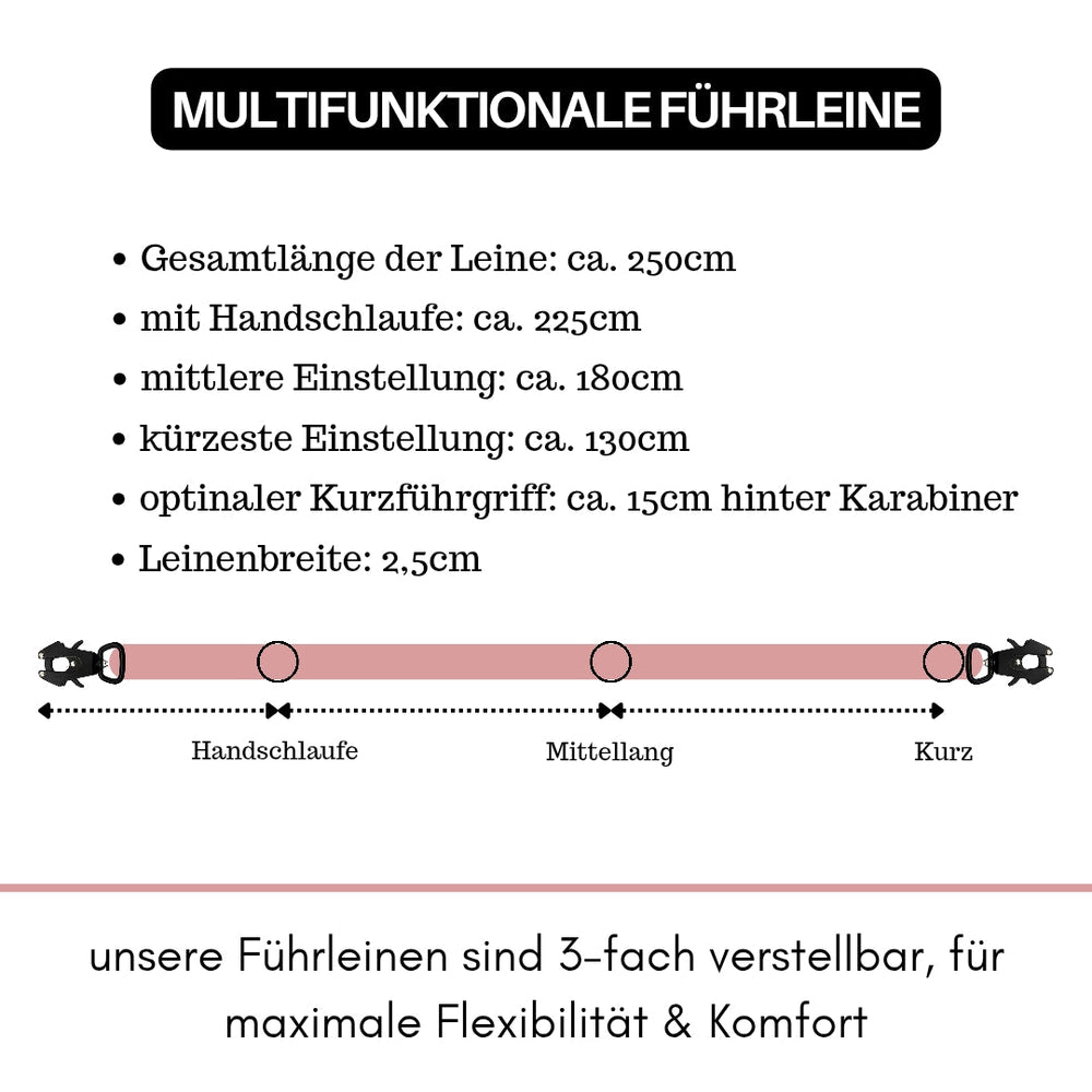 Verstellbare Führleine aus Nylon mit Froschkarabiner, 250 cm lang, ideal für komfortable Spaziergänge mit dem Hund.