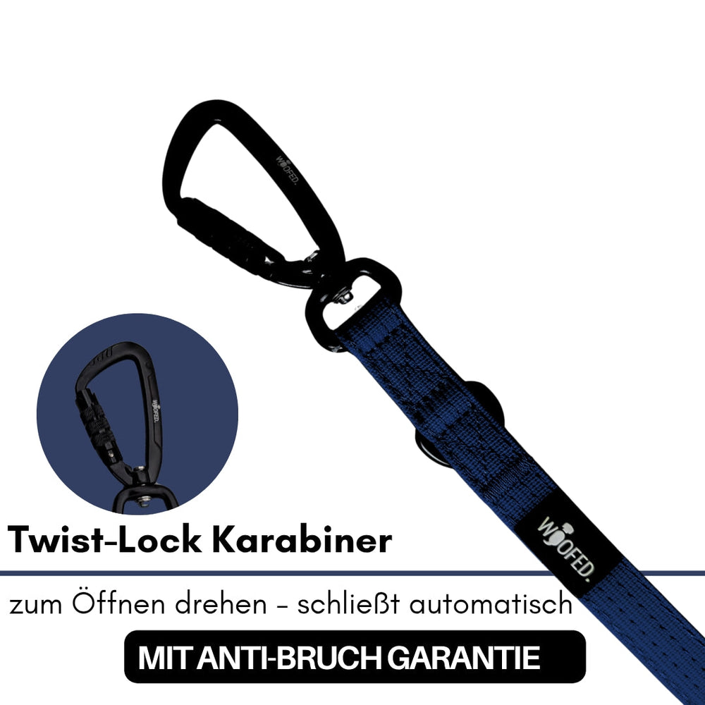 Schwarzer Twist-Lock Karabiner mit blauem Nylonband für sichere Führleine und Anti-Bruch Garantie.