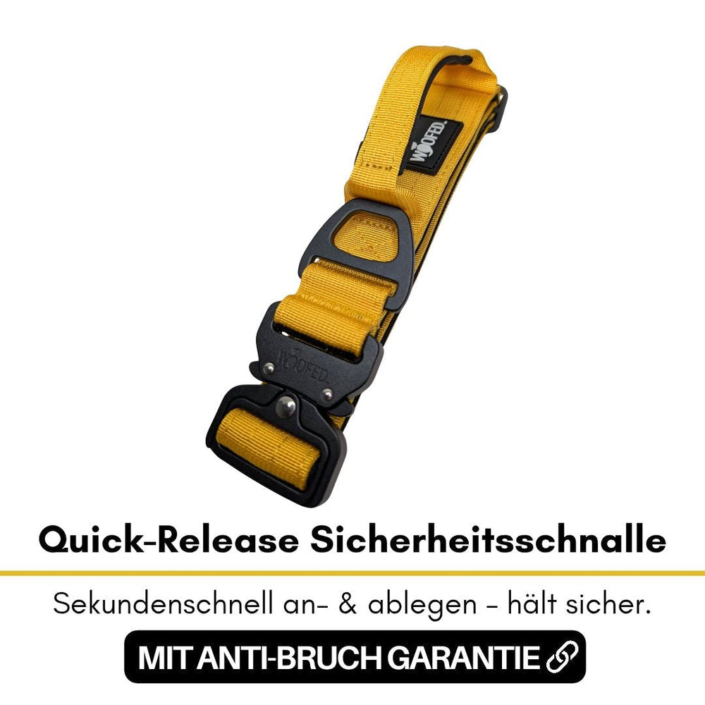 Nylon-Halsband mit gelber Sicherheitschnalle und schwarzer Schnellverschluss-Funktion für einfache Handhabung und Sicherheit.