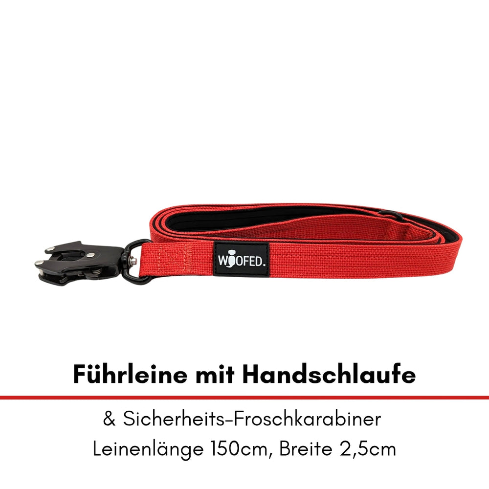 Rote Führleine aus Nylon mit 150 cm Länge, 2,5 cm Breite und Sicherheits-Froschkarabiner für Hunde.