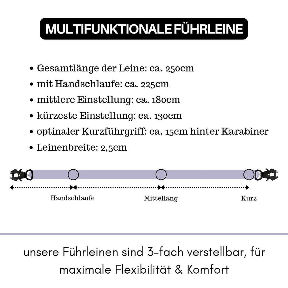 Multifunktionale Führleine aus Nylon mit Froschkarabiner und variabler Länge bis zu 250 cm. Ideal für Hunde.