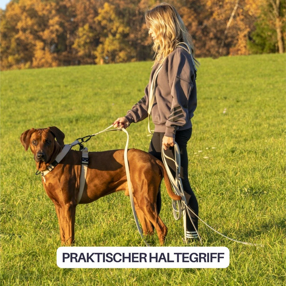 Frau in grauem Pullover führt ihren Rhodesian Ridgeback an einer WOOFLEX® Schleppleine mit Sicherheitskarabiner.
